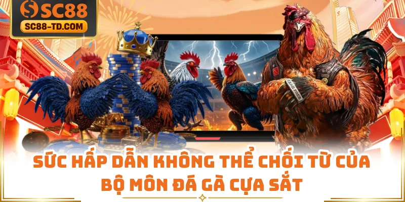 Sức Hấp Dẫn Không Thể Chối Từ Của Bộ Môn Đá Gà Cựa Sắt